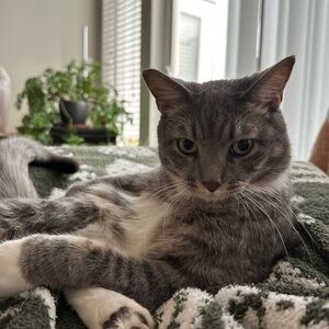 Meet your Posher, Sidney